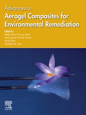 cover image of Advances in Aerogel Composites for Environmental Remediation